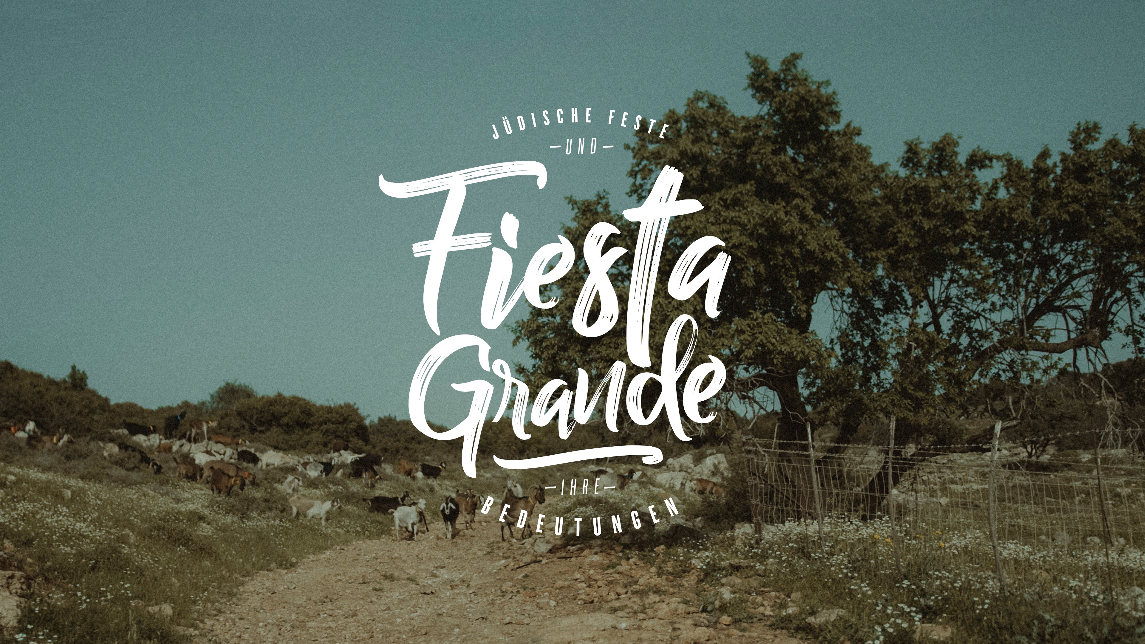Fiesta Grande
